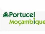 Potucel